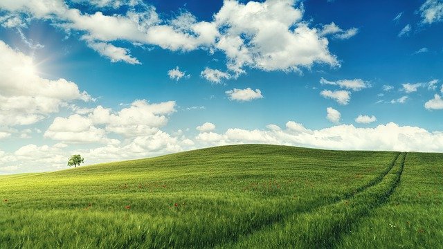 114年機器人夏令營